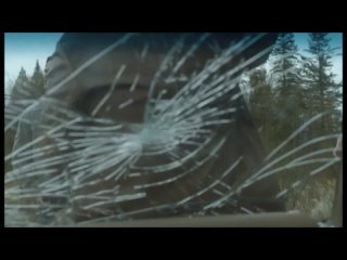 free мне трахнуть дженсена о землюи кончить выстрелом в лицоd hd