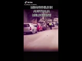 free очередной герой новой нормальности в австралии пытается заставить человека надеть намордник смешно hd
