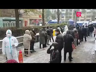 free ковид тирания в китае если во время не сдать тест человек теряет доступ ко всему hd