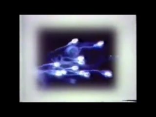 free половое воздержание лучшее видео раскрывающее корень проблемы аюрведа hd