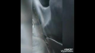 free узбек секс узбекча секс машинада hd