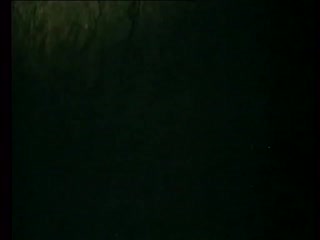 free королек птичка певчая отрывок avi high mp4 hd
