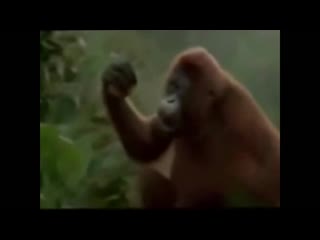 free фанат моргенштерна жестко флексит под его новый трек пососи 1 mp4 hd