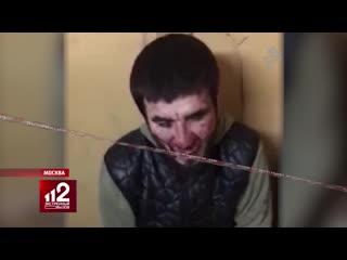 free азербайджанцы против чеченца чеченец извинился на коленях hd