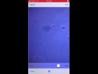 free содержание инъекций от ковид 19 и от гриппа и это ещё далеко не всё что есть абсолютно во всех вакцинах hd