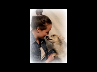 free любовь и верность не подвластна времени кдм восток 4 крутая горка приют друг hd