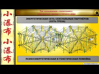 free западное общество как генетическая помойка фрагмент передачи я дмитриева аспекты безопасности так называемая hd