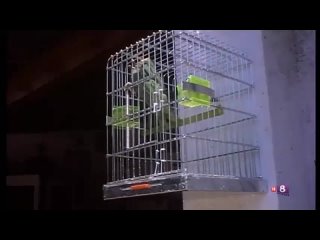 free jovenes amiguitas buscan placer 1982 hd