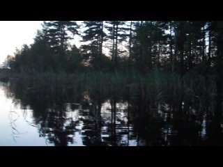 free заходское озеро большое красноперское июль 2014 белая ночь купание назойливый комар летает жужжит и хочет укусить hd