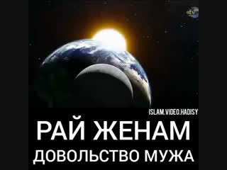 free жена не рабыня она лишь верная и правильная жена своего мужа hd