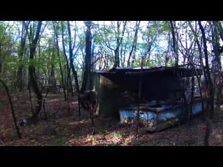 free частный дом в припяти осень в чернобыле 2016 hd