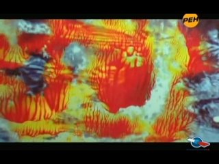 free секретные территории 12 серия зеркало параллельные миры 31 03 2011 hd