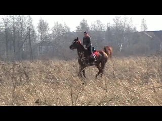 free тренироа к скачкам пломба и ла коста настя и оля hd