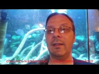 free video by lukas langmann hd