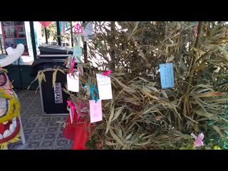 free фестиваль японской культуры в петрополисе штат рио де жанейро hd