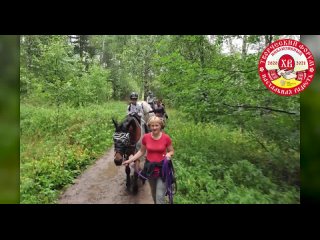 free лошадь и человек культура взаимодействия школа паралимпийского конкура лошади дарят крылья hd