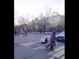 free бабушка в россии помогает роботу курьеру перейти пешеходный переход просто мы русские не русский человек не поймёт hd