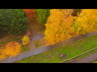 free город цвета осень любимая моя набережные челны вячеслав быков hd