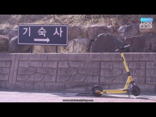 free sub 오해가 풀리는 순간 예기치 못한 스킨십을 해버렸다 서서히 무너지는 둘 사이의 철벽 처음엔다그래 17화 beginning ep17 1080p hd