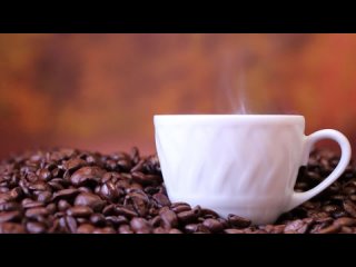free java burn review everything you need to know java burn coffee java burn reviews java burn hd