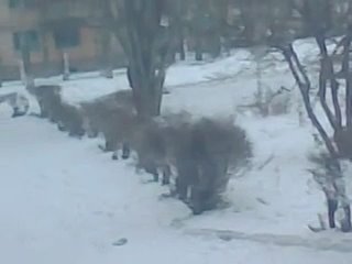 free в школе4 появился мужик дрочилкавидио плохое качество но все же присматритесь он дрочит блеать это жестть hd