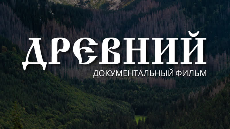 free фильм древний почему важно сохранить древние леса по следам экспедиции павла пашкова hd
