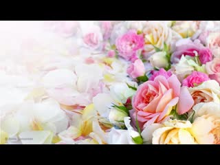 free дочка с днем рождения видео поздравление с днем рождения взрослой дочери от hd