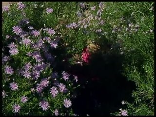free таня симферополь из шоу холостяк то что не попало в эфир hd