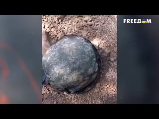 free на нас напали бомжи отбросы из рф больше никого не пугают изнанка армии hd