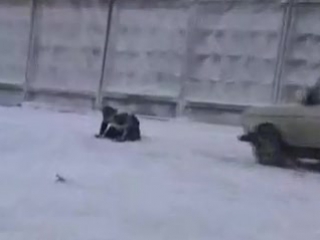 free ну просто сказочный долбоеб epic fail ахаха порно жесть ахахахаха кот пиздец смешно пипец ржу не мог hd