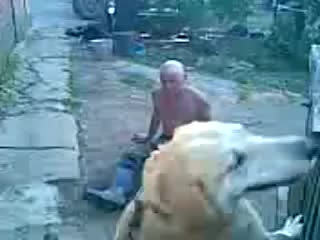free кобель молодые алкаша пьяный мужик своей жопе не хозяин hd