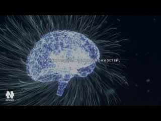 free именно поэтому успешные люди просыпаются так рано польза раннего подъема instarding мотивация hd