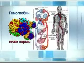 free доктор нонна кухина dr nona в ток шоу философия здоровья анемия hd