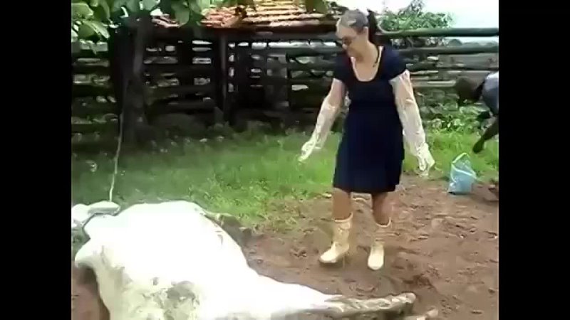 free светляк подкрался к спящей арте но не тут то было hd