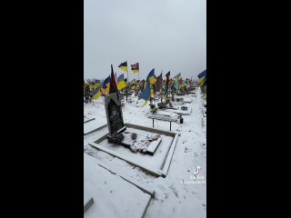 free одно из кладбищ харькова их здесь несколько у меня уже голова кружится растирает сопли местная оксанка hd