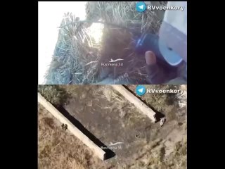 free мразь хотела резать русню но не учла что попасть в плен это большая удача hd